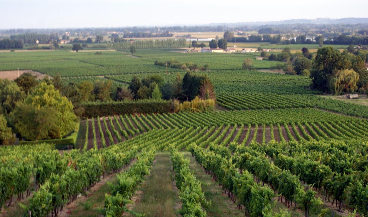 Romantic Gite Nr St Emilion With Private Pool And Views To Die For Pujols  Exterior foto